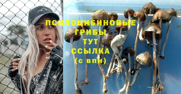 прущие грибы Верхнеуральск