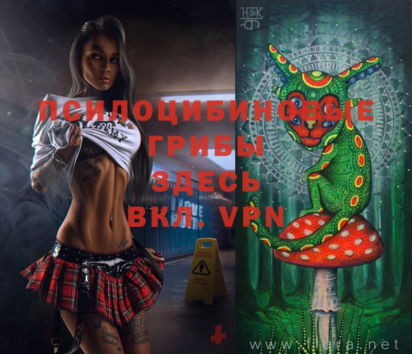 спиды Верея