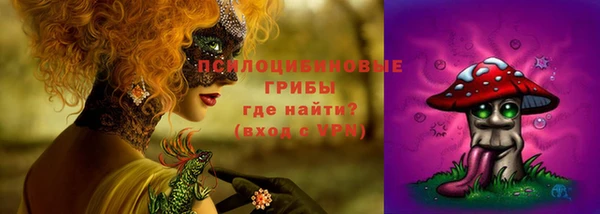 mdpv Володарск
