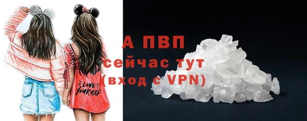 спиды Верея