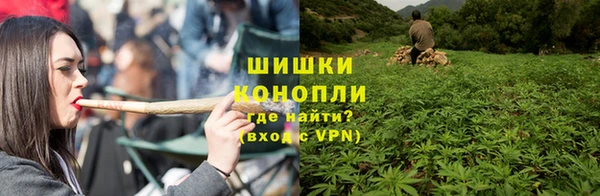 спиды Верея