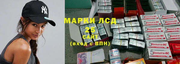 спиды Верея