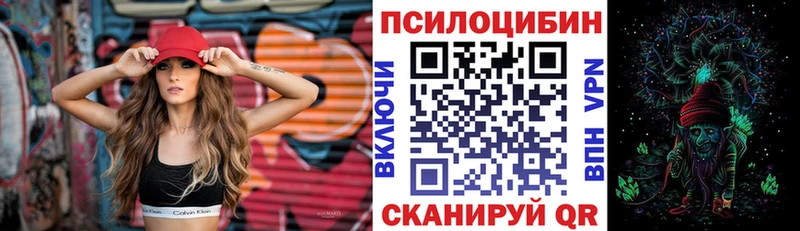 Псилоцибиновые грибы мицелий  наркотики  Кашин 